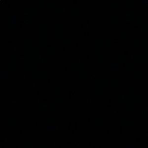 Meet your Posher, Libby